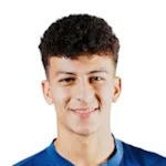 علي محمود