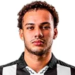 بيدرو هينريكي ناريسسي ماتشادو